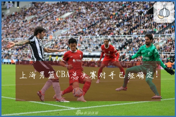 上海男篮CBA总决赛对手已经确定！